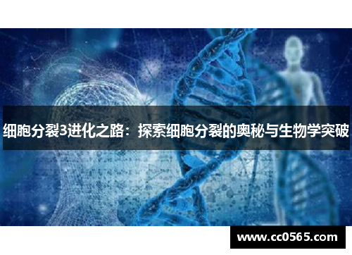细胞分裂3进化之路：探索细胞分裂的奥秘与生物学突破